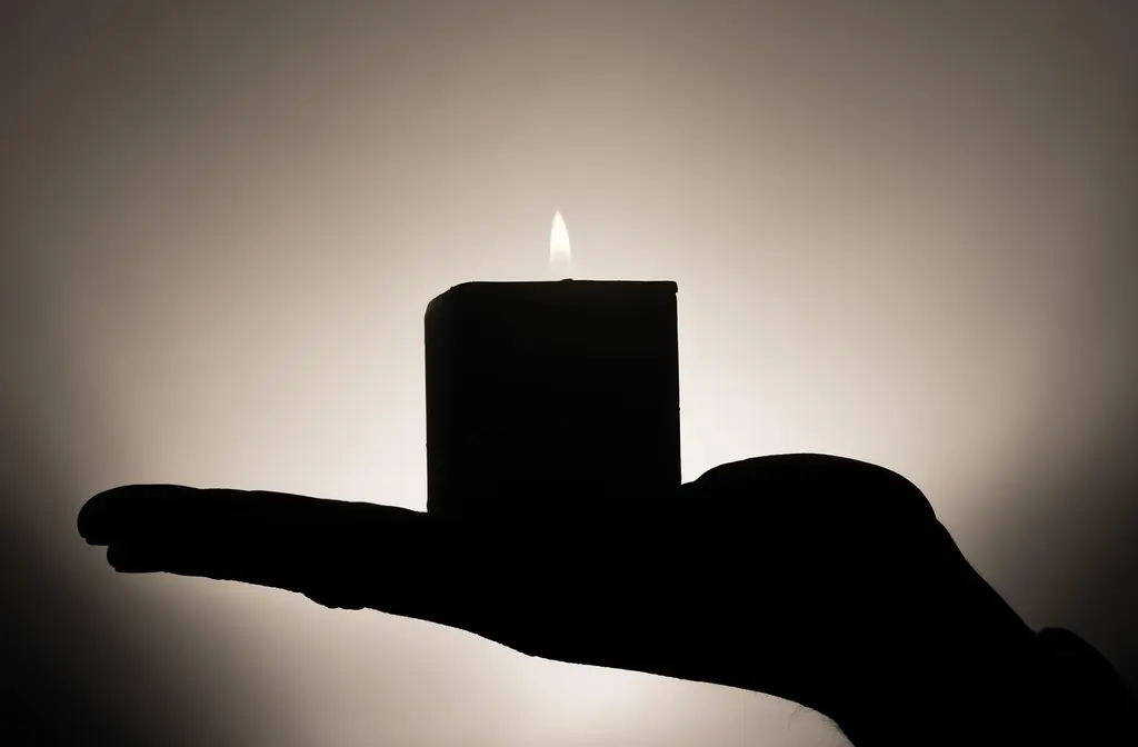 Guía para principiantes en el yoga